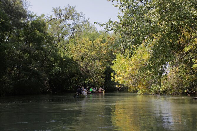 4-Hours Tour Rafting From Hainburg to Bratislava - Sum Up