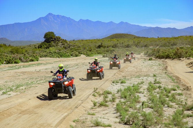 4x4 ATV Adventure With Tequila Tasting and Mexican Buffet Lunch - Highlights of the Experience