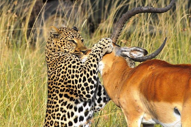 5-Day Lakes and Masai Mara Plains 4 X 4 Safari - Customer Reviews and Feedback