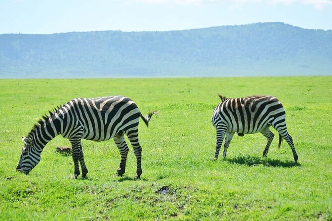5-Day Ngorongoro Crater and Lake Manyara Safari From Arusha - Booking and Cancellation Policy