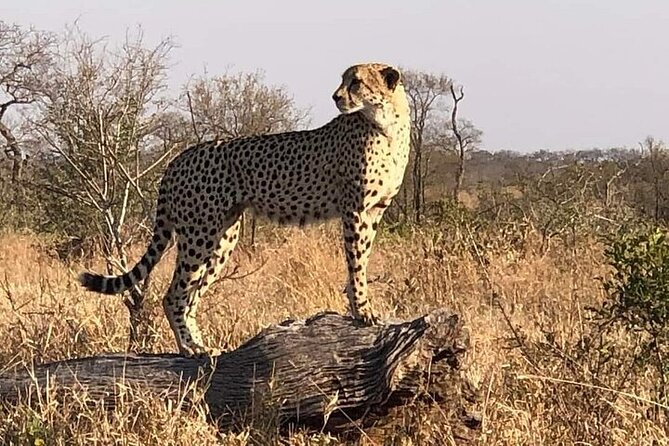 5 Day Ultimate Kruger National Park Budget Accommodation - Frequently Asked Questions