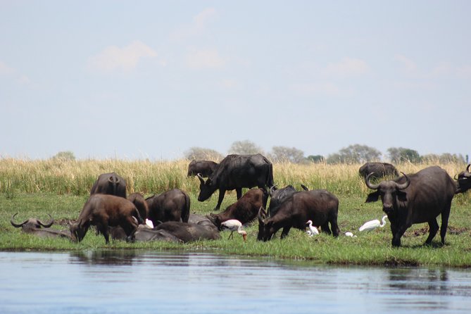 5-DAY Victoria Falls and Chobe National Park - Frequently Asked Questions