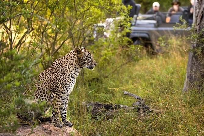 5-Days Masai Mara- Lake Nakuru - Lake Naivasha Kenya Safari Tour - Frequently Asked Questions