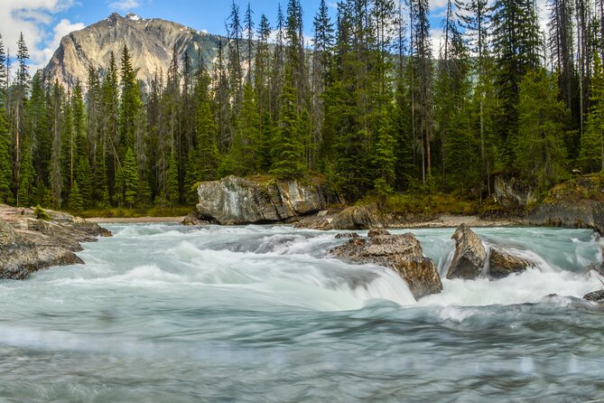 5 Days Rockies Fall & Wildlife Photography - Rockies Autumn Scenery