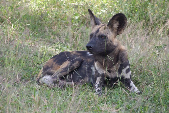 5 Days Safari to Selous & Mikumi - Feedback and Testimonials