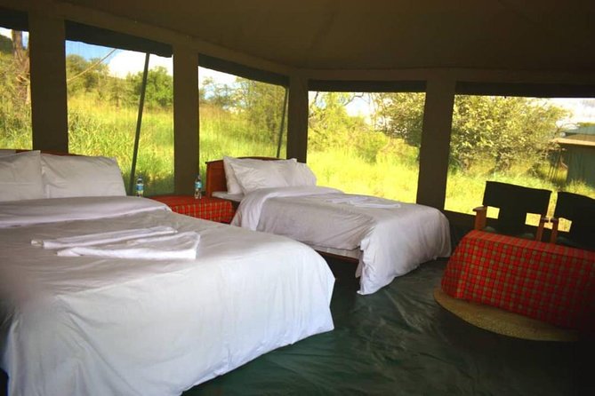 5 Days Serengeti, Ngorongoro, Tarangire & Manyara Lodge Tour - Tarangire and Manyara Parks