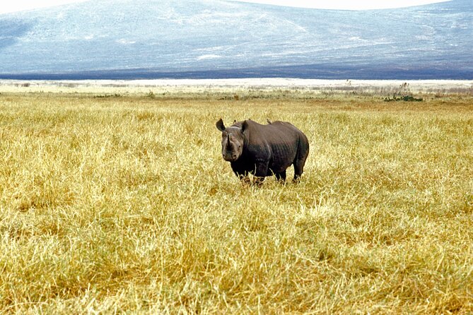 5 Days Tour Tarangire, Serengeti, Ngorongoro Crater & Lake Manyara Park-Midrange - Frequently Asked Questions