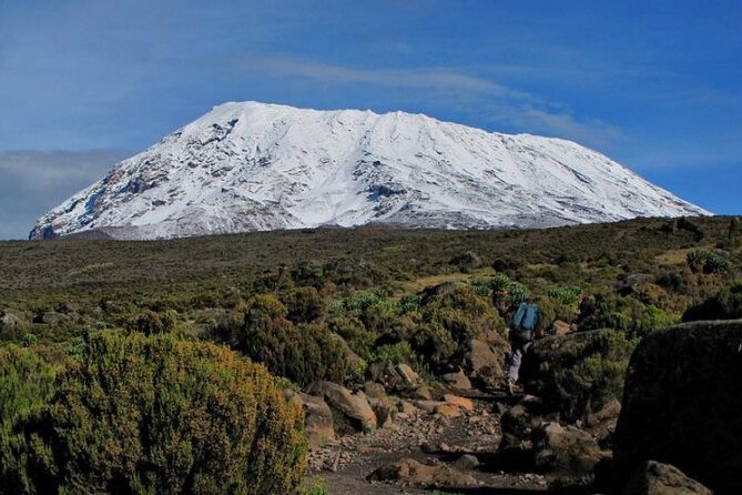 5D/4N Climbing Kilimanjaro Marangu (Coca-Cola Route). - Memorable Experiences