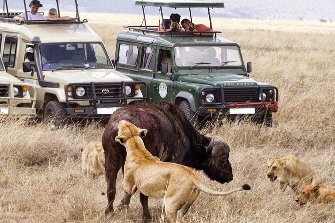 6-Day Tanzania Camping Safari: Lake Manyara, Serengeti, Ngorongoro Cater and Tarangire National Park From Arusha - Frequently Asked Questions