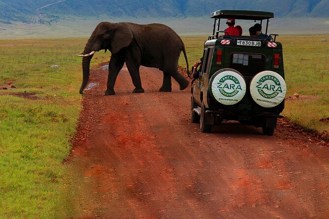 6 Days 5 Night Safari - Traveler Reviews