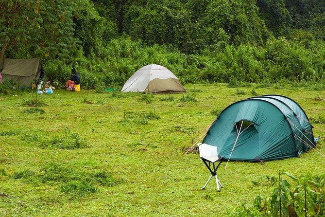 6 Days Bale Mountains Trekking - Pricing and Special Offers