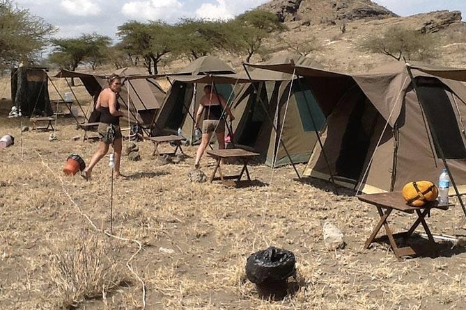 6 Days Budget Tanzania Camping Safari - Guest Testimonials