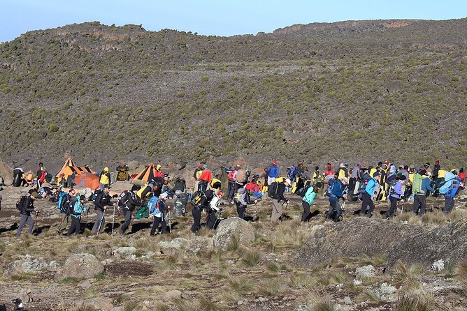 6 Days: Hiking Kilimanjaro via Machame Route - Cancellation Policy