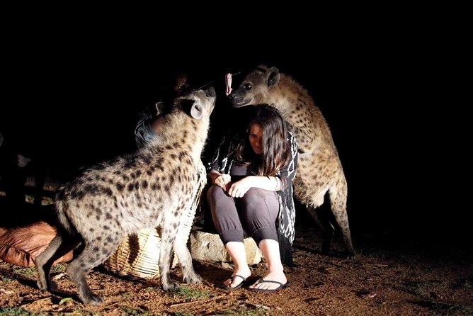 6 Days Lalibela, Omo Valley and Harar - Pricing and Booking Information