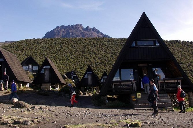 6 Days Mount Kilimanjaro Trek Marangu Route - About the Tour Operator