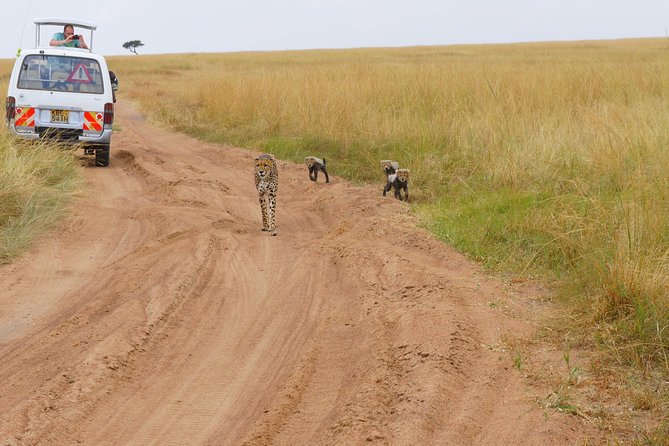 6 Days Private Safari Package Kenya - Pricing and Payment Options