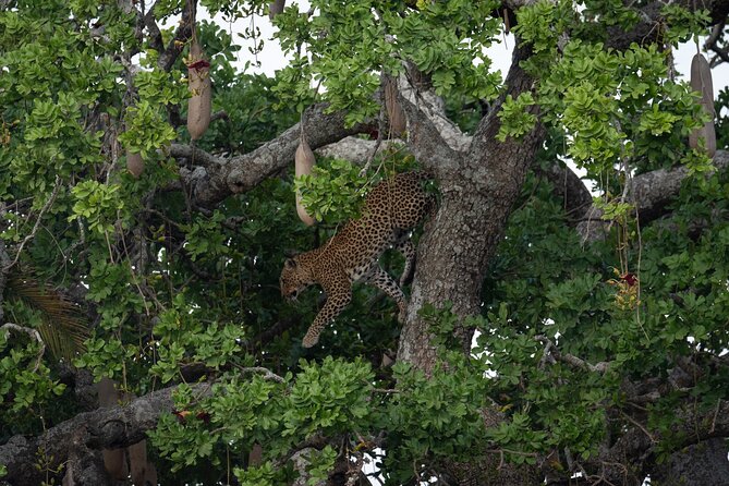 6 Days Private Safari Tour - Meeting and Pickup Points