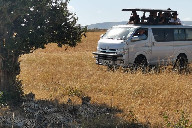 7-Day Amboseli, Naivaisha, Maasai Mara and Lake Nakuru National Parks - Frequently Asked Questions