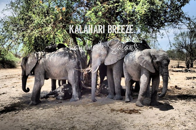 7 Day Highlights Of Botswana Overland Tour – ACCOMODATED (midrange) - Frequently Asked Questions