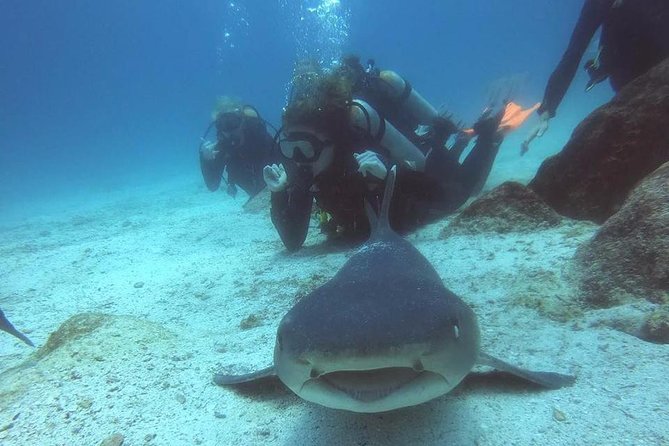 7 Days Diving and Hiking on the Galapagos Islands Tour - Booking and Considerations