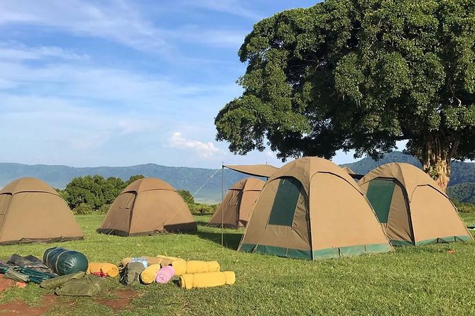 7 Days Great Migration Safari - Included Amenities and Accommodations