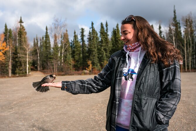 8-12 Hour Private Arctic Circle Experience in Alaska With Lunch - Booking and Cancellation Policy