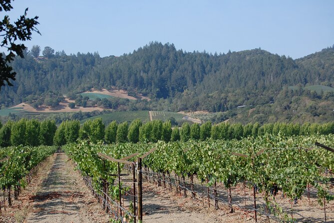 8 Hour Private Napa Wine Tasting Tour With a Sample Stops - Transportation Options