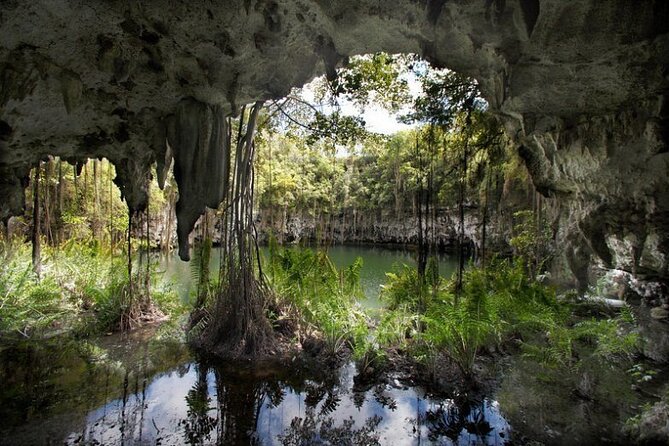 8-Hour Private Santo Domingo Tour From La Romana and Bayahibe - Additional Information