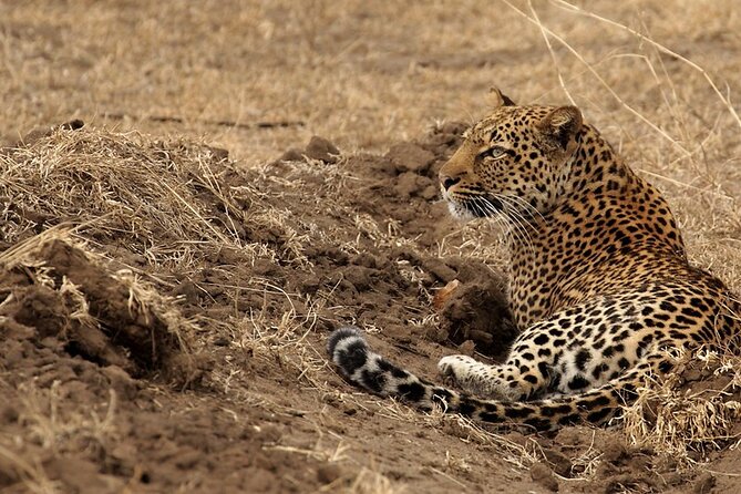 9 Days Adventure And Wildlife Safari - Customer Reviews and Ratings