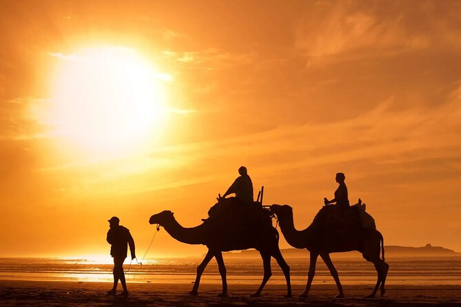 9 Days Tour in Morocco From Casablanca or Marrakech - Frequently Asked Questions