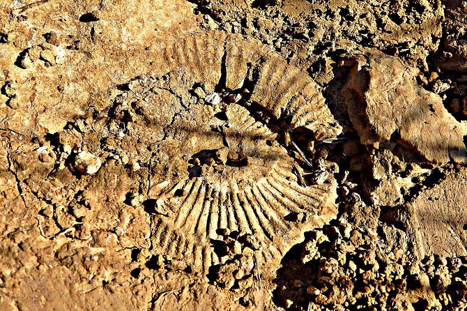 A Journey Through the Forgotten Sierra ... - Serra De Brasfemes, Coimbra - Frequently Asked Questions
