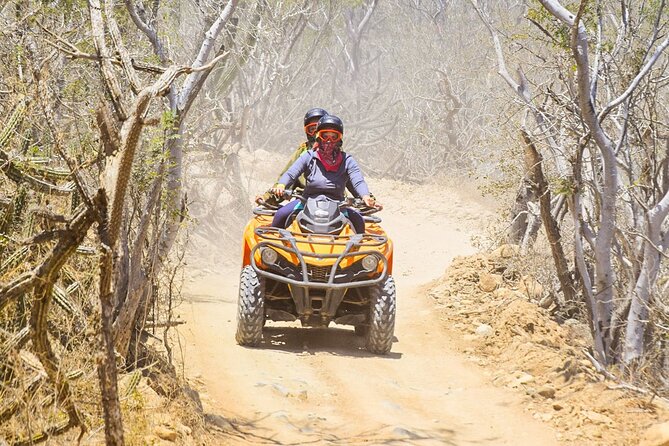 Adventure in Los Cabos Margaritas Beach in Atv/Utv Desert Tour - Frequently Asked Questions