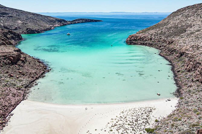 Adventure to Espiritu Santo Island: Snorkel With Sea Lions and Beach - Customer Reviews and Recommendations