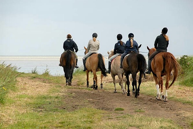 Agadir 2-Hour Private Horse Riding Experience With Pickup - Tips for Travelers