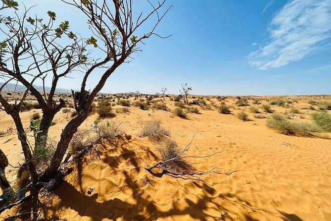 Agadir Jeep Safari 4x4 Desert Adventures - Essential Tips for Your Adventure