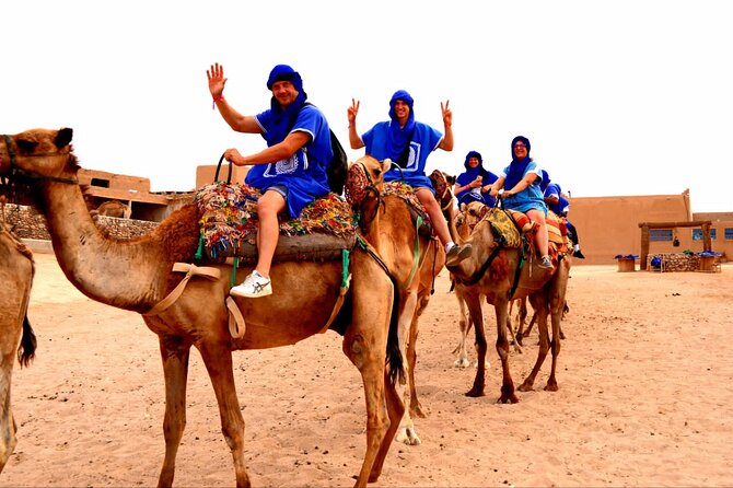 Agafay Desert ,Camel Ride & Dinner Show - Traveler Reviews and Feedback