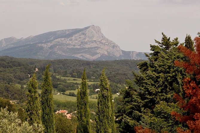 Aix En Provence Wine Tour "Cézanne and the Winegrowers" - Frequently Asked Questions