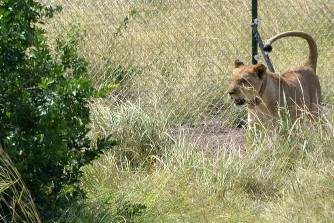 Akagera National Park - Frequently Asked Questions
