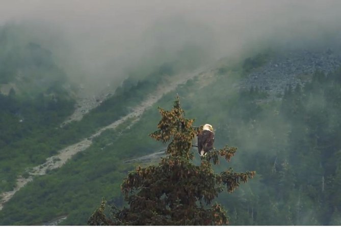 Alaska Wildlife Voyageur Canoe Safari From Haines - Questions About Your Stay