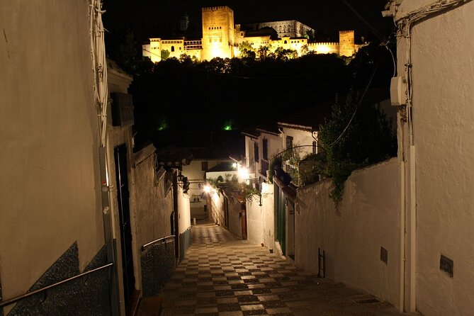 Albaicín and Sacromonte Walking Tour and Flamenco Show - Host Acknowledgment