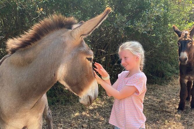 Alberobello by E-Bike. Trulli, Countryside, Mill, and Donkeys - Tasting Local Delicacies