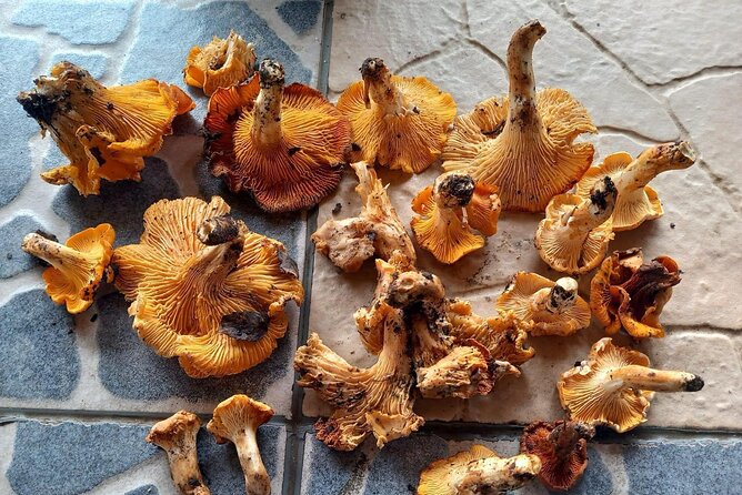 Algarve Traditional Food and Wine Tasting - Savoring the Local Flavors