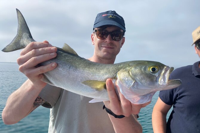 All Inclusive Fishing Excursion From Alicante - Contact and Additional Information