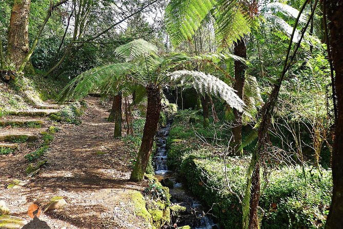 Alliance Underground Museum and Bussaco Forest - Coimbra - Frequently Asked Questions
