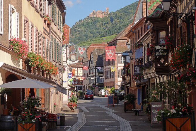 Alsace 4 Wonders Private Full Day Trip - Traveler Experiences and Reviews