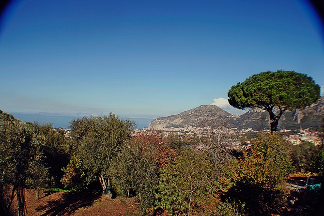 Amalfi Coast Private Day Trip - Flexible Cancellation Policy