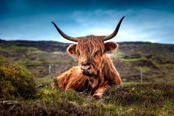 Amazing 3-Day Aberdeen Deeside Loch Ness Pitlochry Edinburgh Private Tour - Pricing, Cancellation, and Accessibility Details