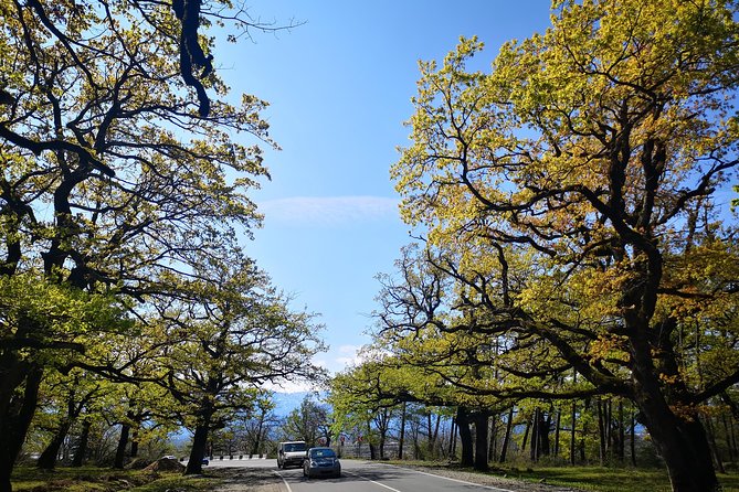 Amazing All Inclusive Tour for 7 Days From Tbilisi - About Georgia