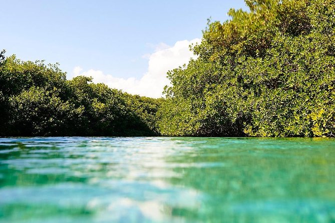 Amazing Beginner Dive in Tulum Cenote (Or Refresher Dive) - What to Expect on the Dive