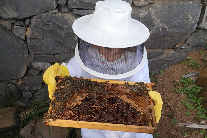 Amazing Experience With Bees, Honey and Pollen in Madeira Island - The Sum Up